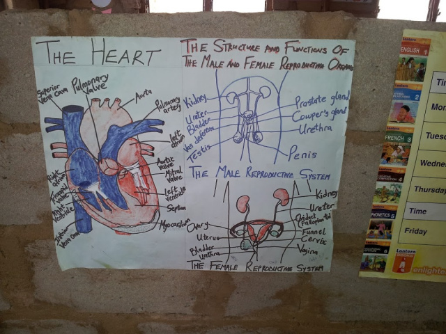 Training Poster